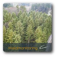 Wald Monitoring Drohne
