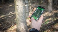 Wald Monitoring MW Forst Mobil Applikation